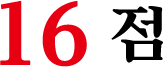 16 점